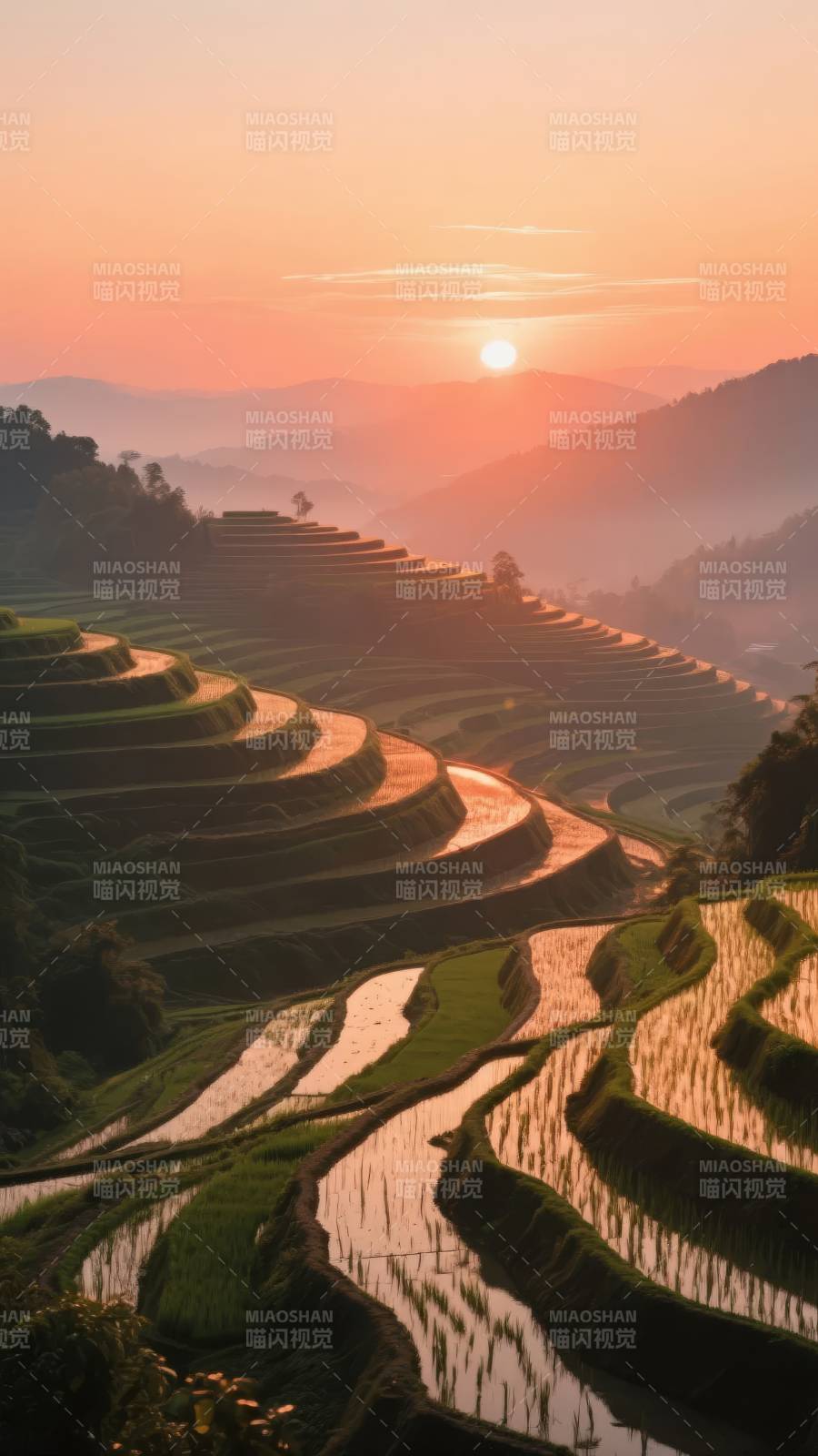 梯田日出美景图片