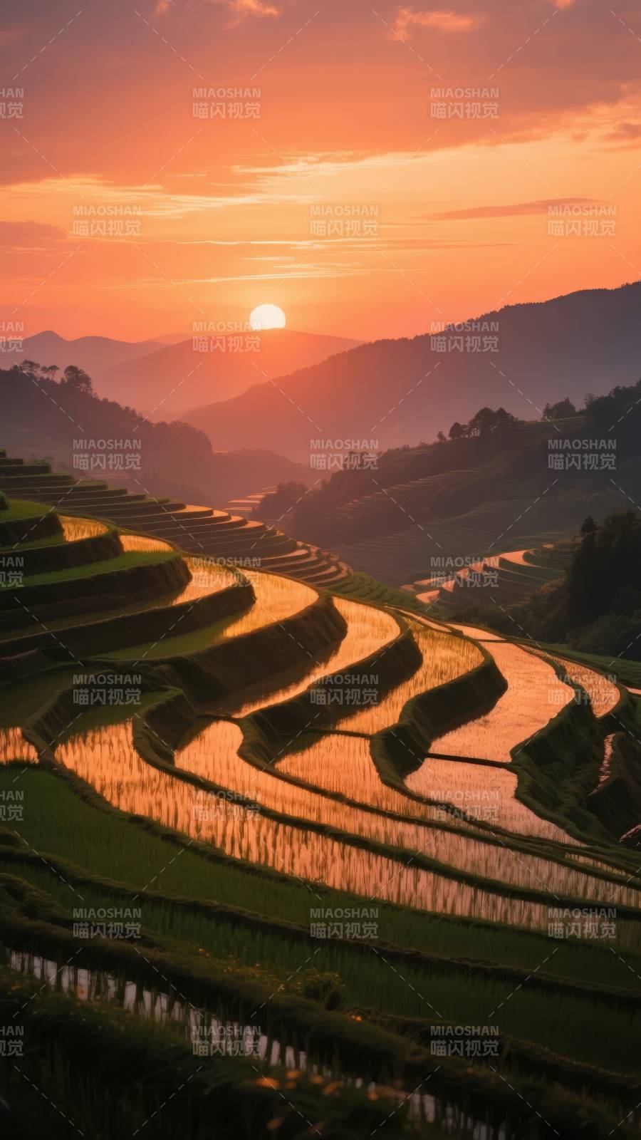 梯田日落图片