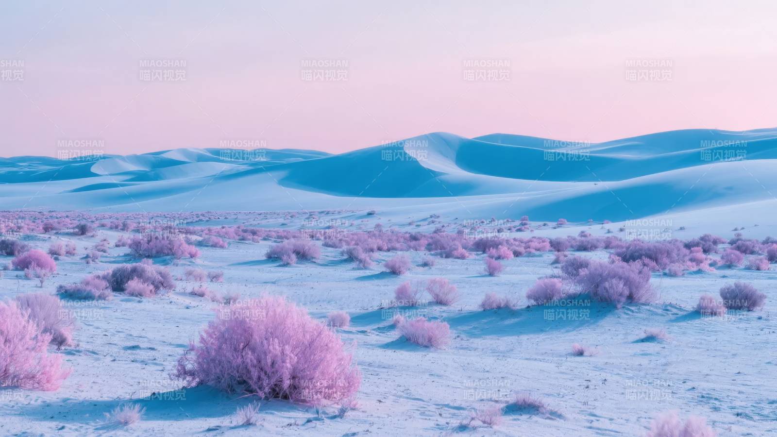 粉红沙漠奇景图片