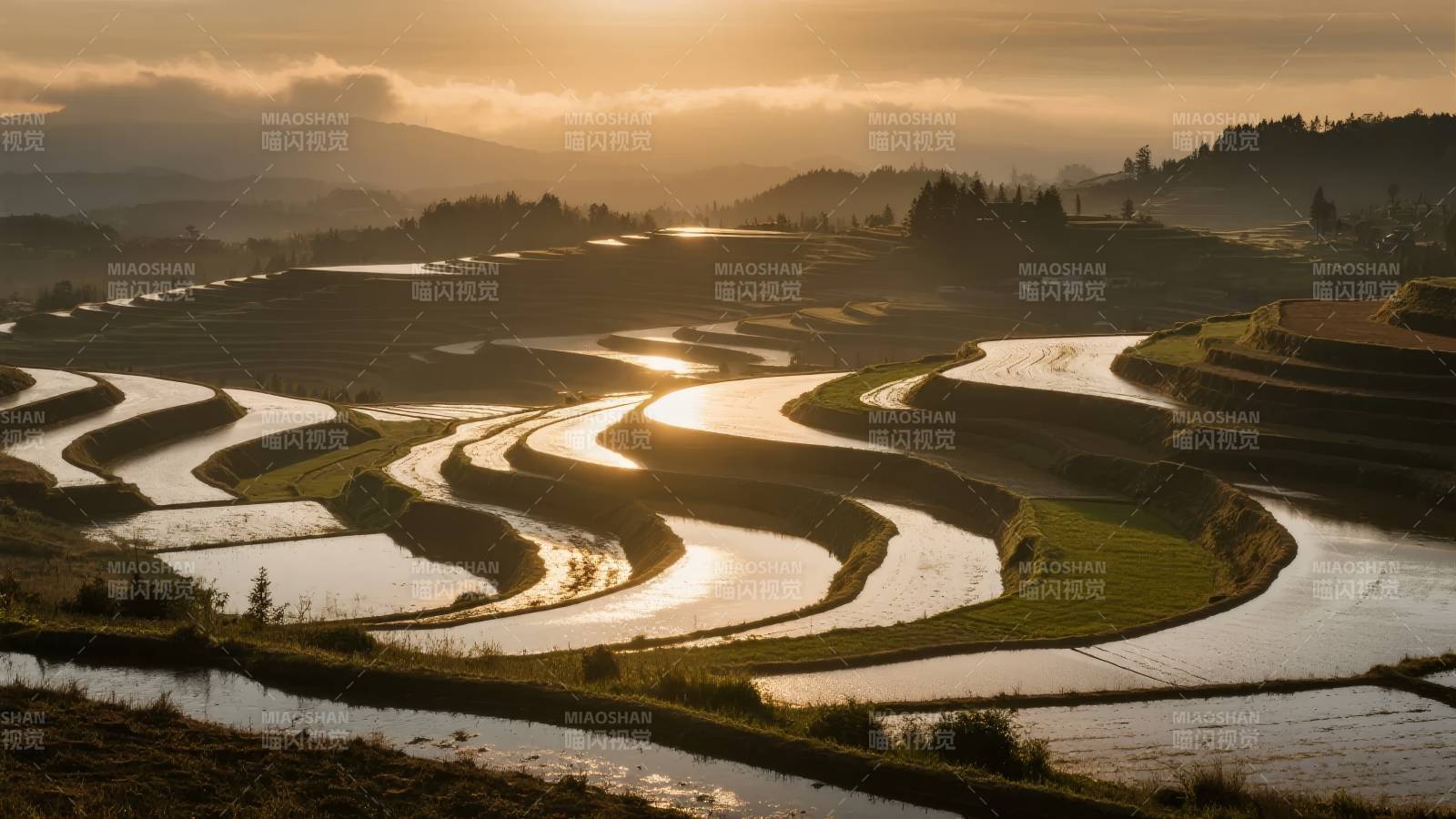 梯田晨曦图片