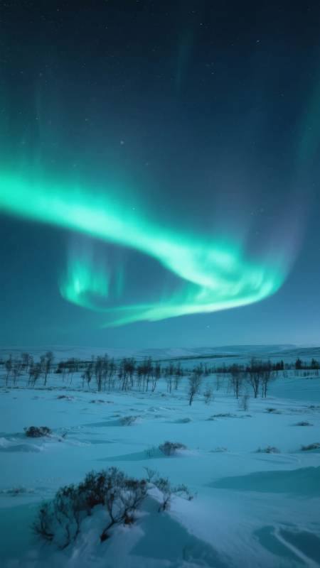 极光映雪原图片