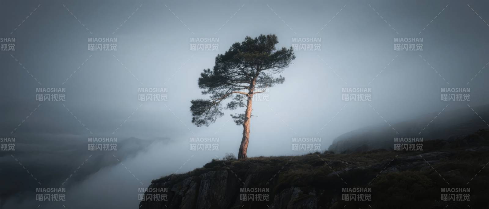 孤松立崖 云海苍茫图片