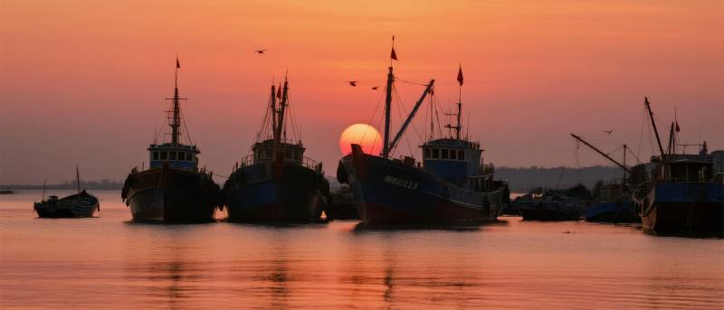 渔港日落图片