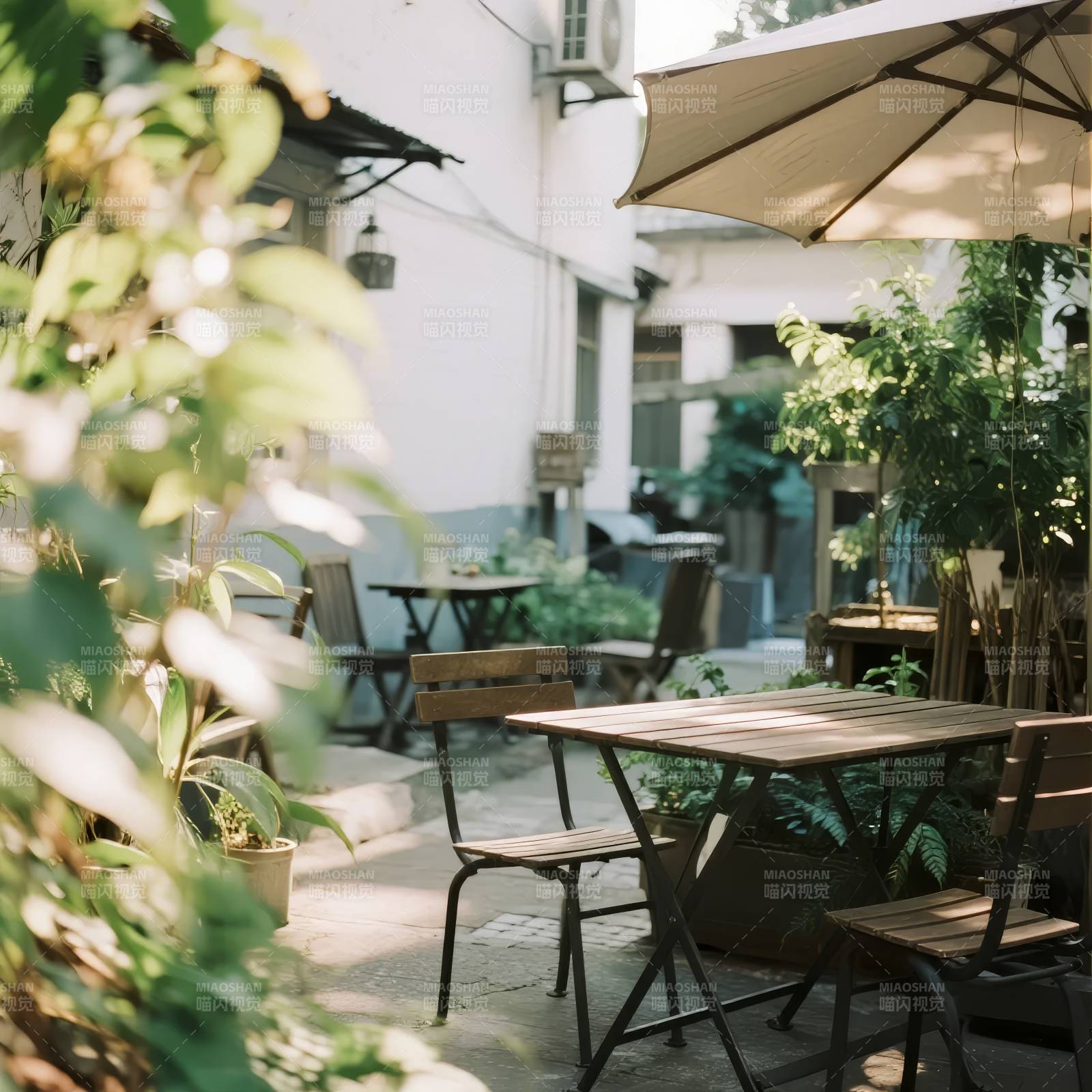 庭院静谧时光图片