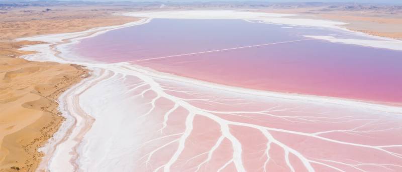 粉红盐湖奇景图片