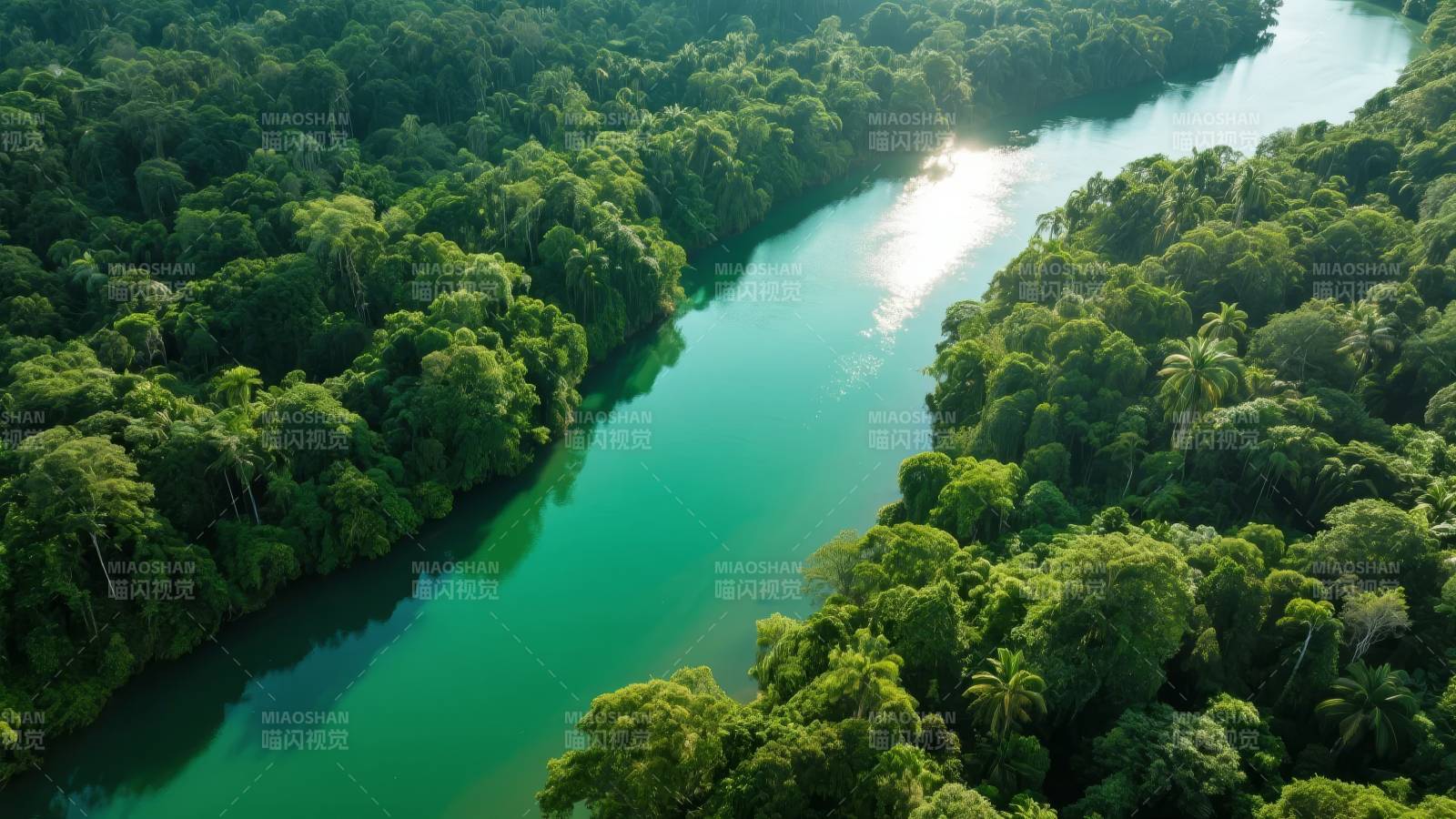 热带雨林河流美景图片