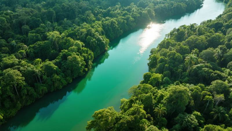 热带雨林河流美景图片