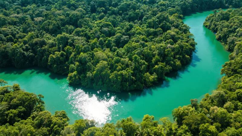 碧水环绕绿林图片