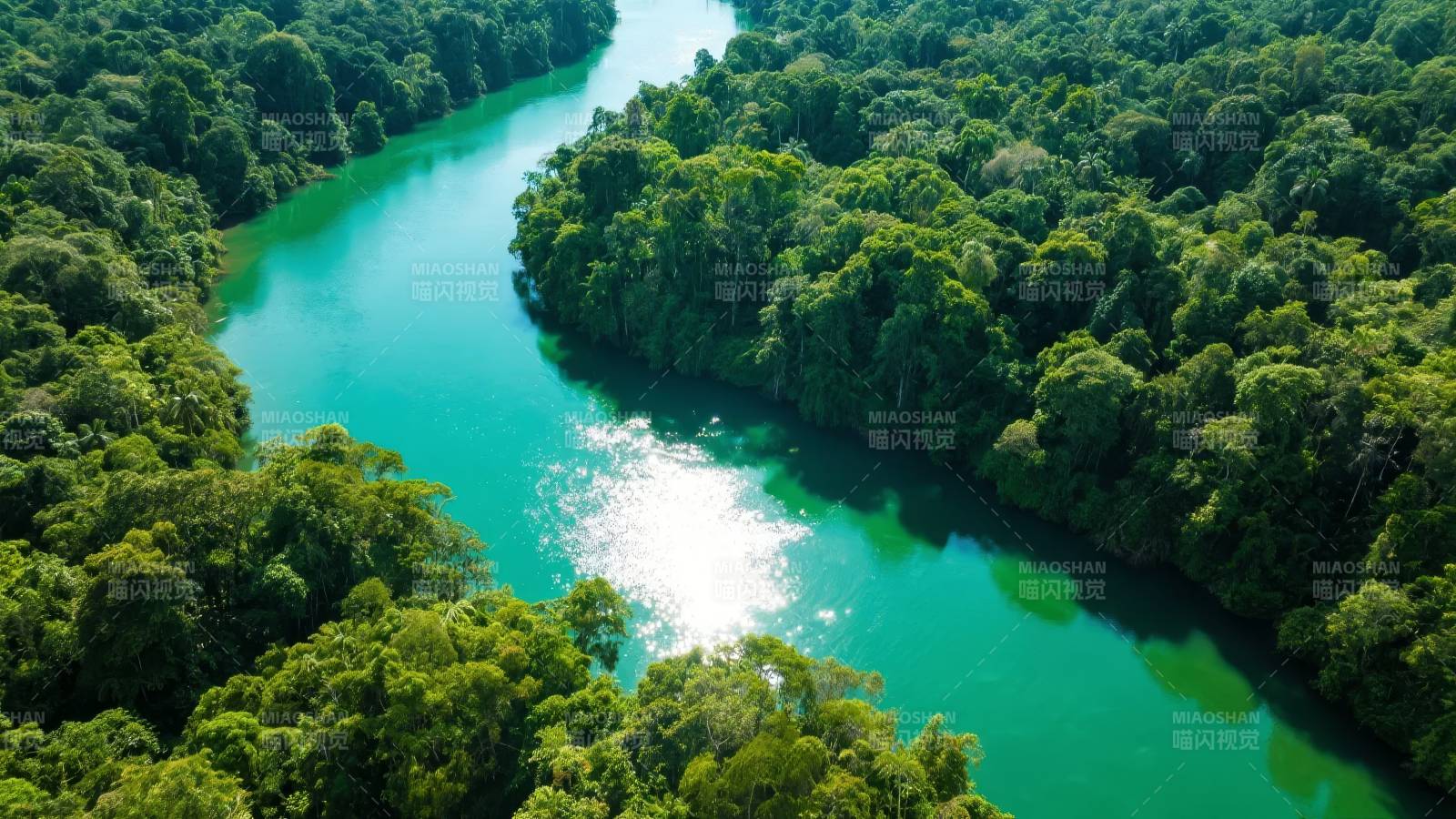 碧水穿林 绿意盎然图片