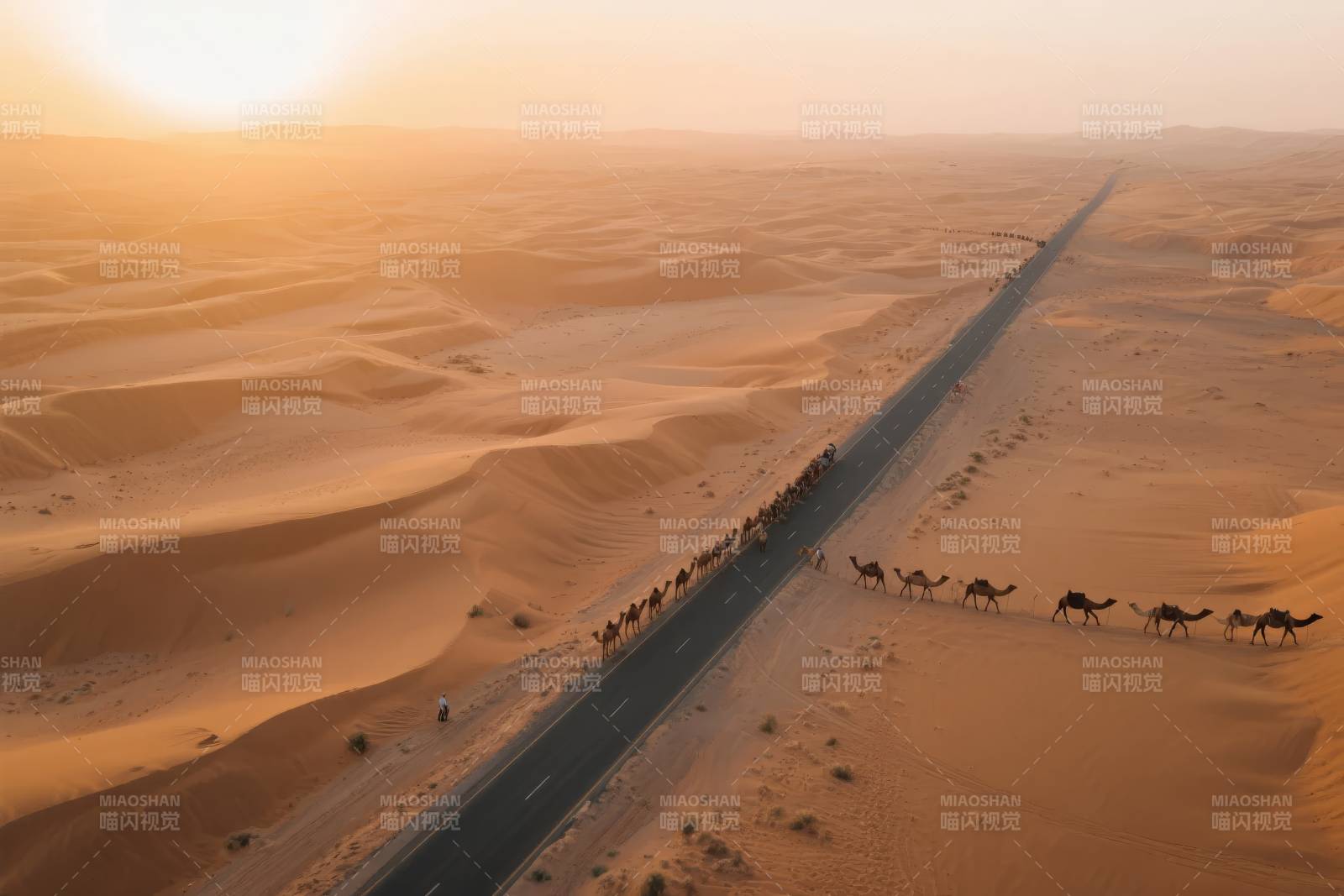沙漠驼队行进图图片