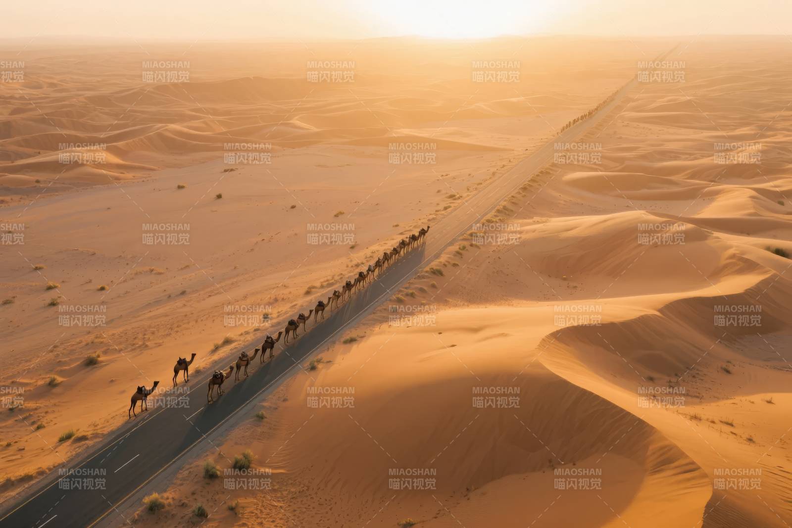 沙漠驼队行进中图片