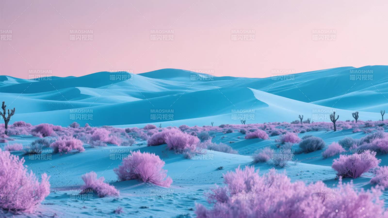 梦幻紫沙丘图片