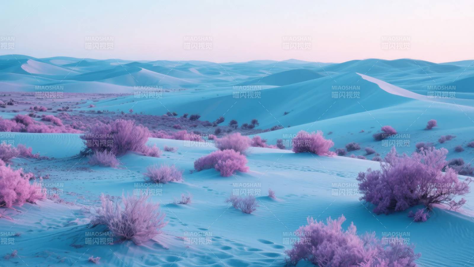 紫沙幻境图片