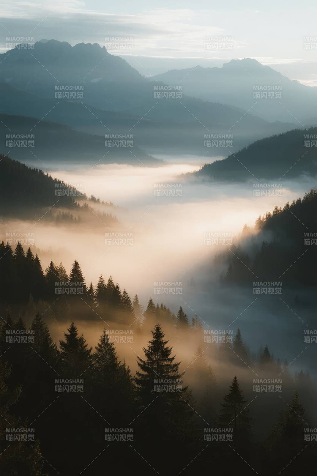 雾锁山林晨曦图片