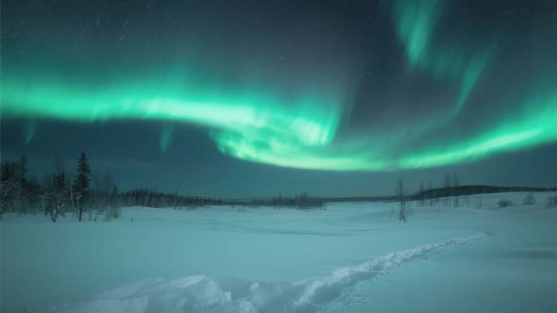 极光映雪原图片