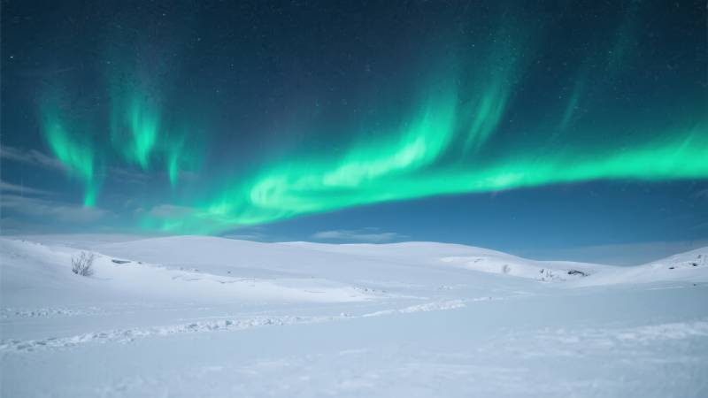 极光映雪原图片