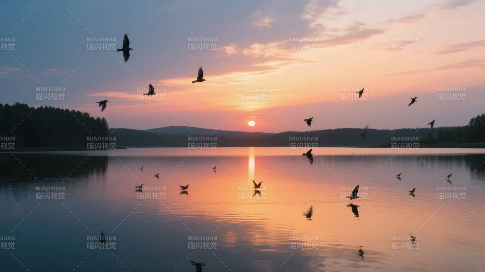 湖上飞鸟夕阳美图片