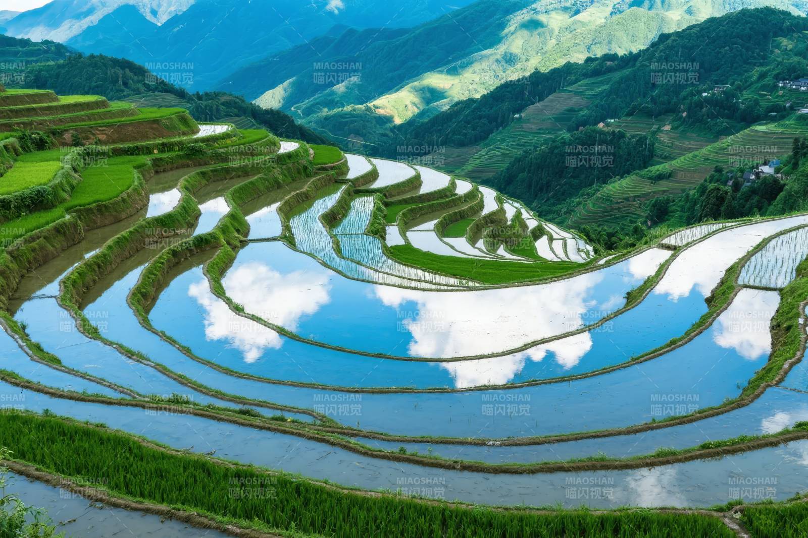 梯田映天光图片