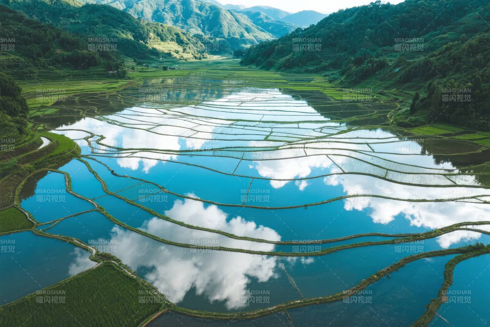 梯田倒映蓝天白云图片