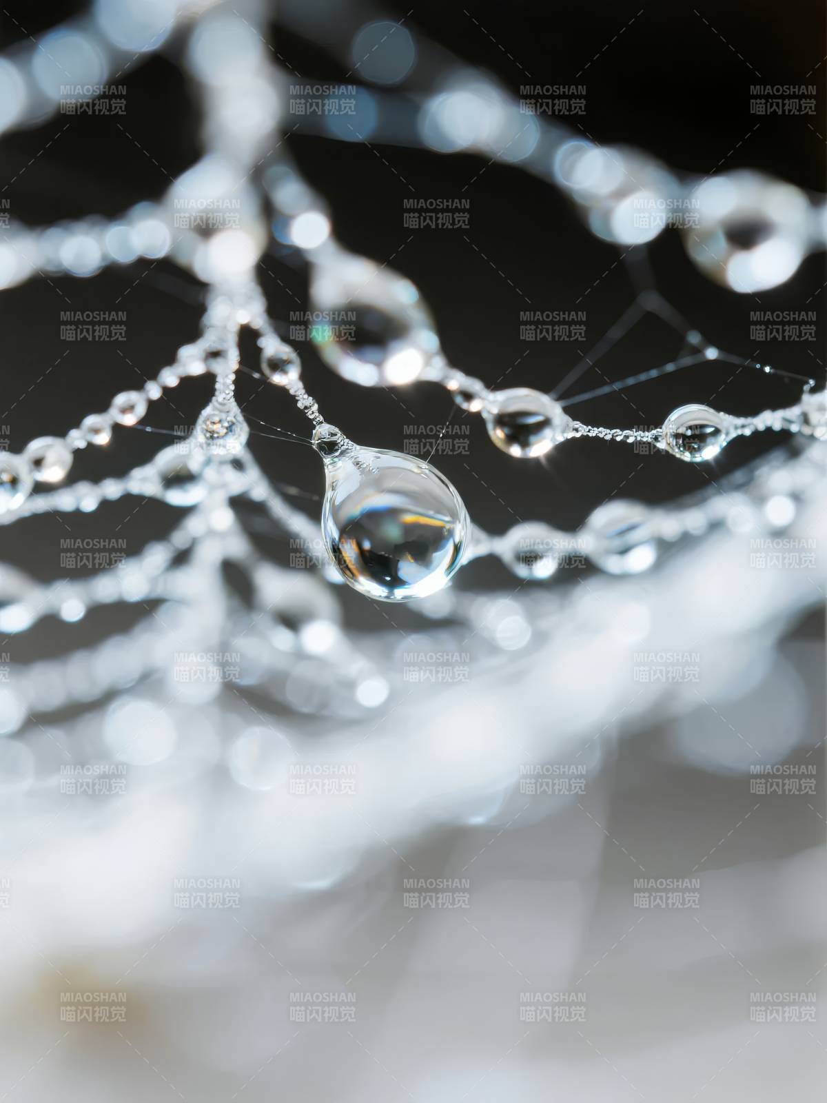 露珠缀网 晶莹剔透图片