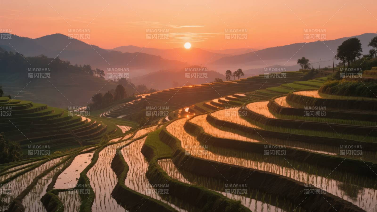 梯田日出美景图片