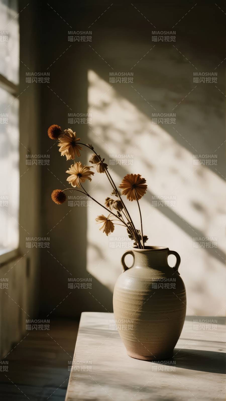 光影中的干花静谧图片