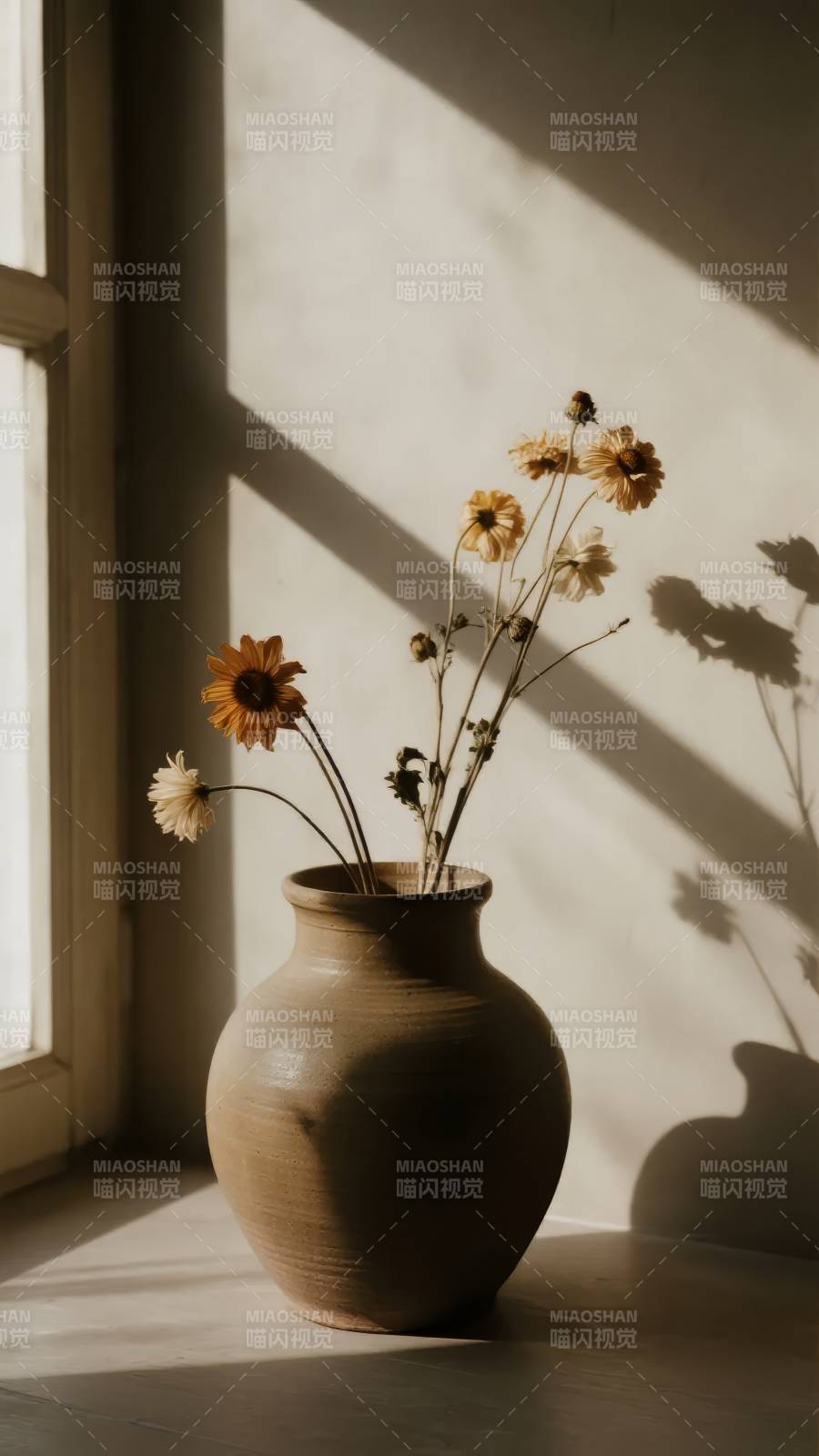 光影中的干花静物图片