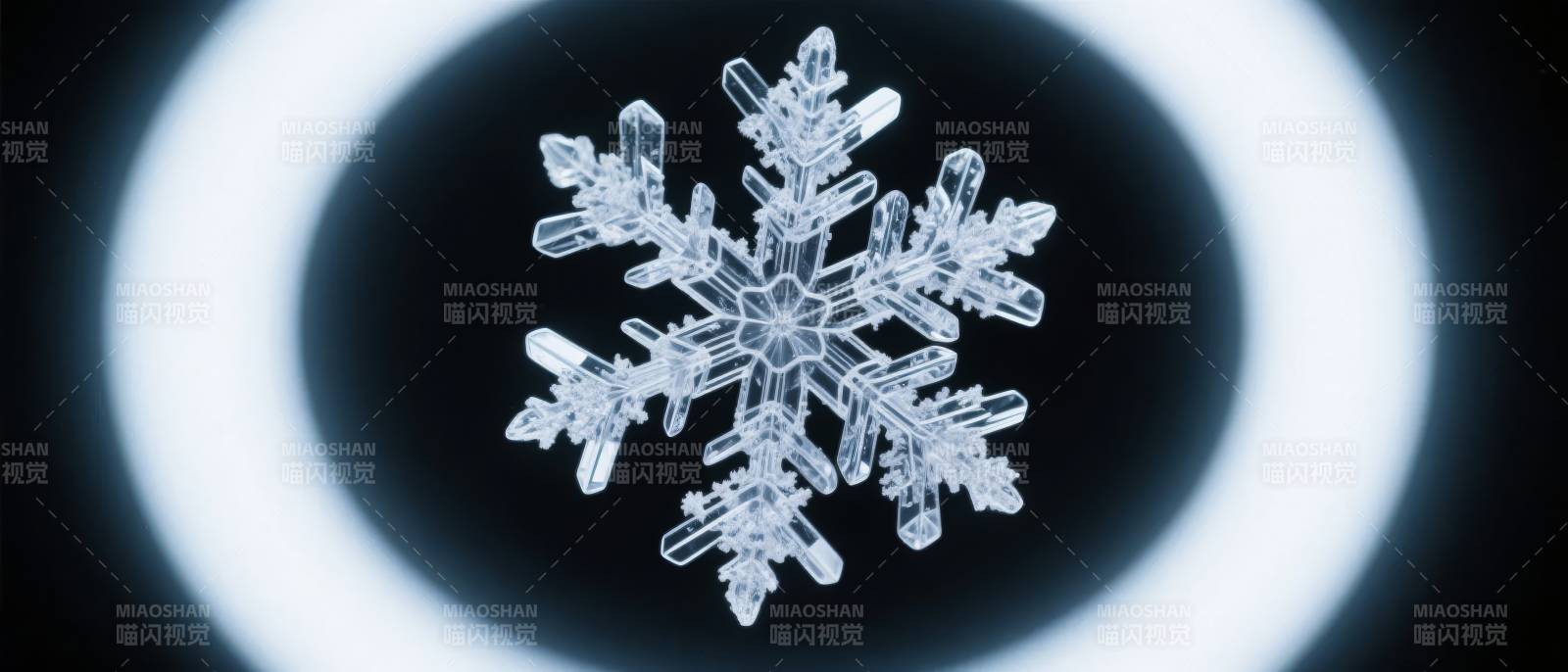 晶莹雪花 冬日之美图片