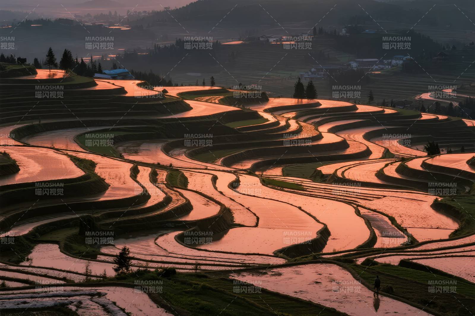 梯田晨曦图片