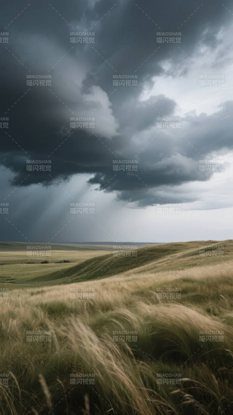 风暴来临前的草原图片