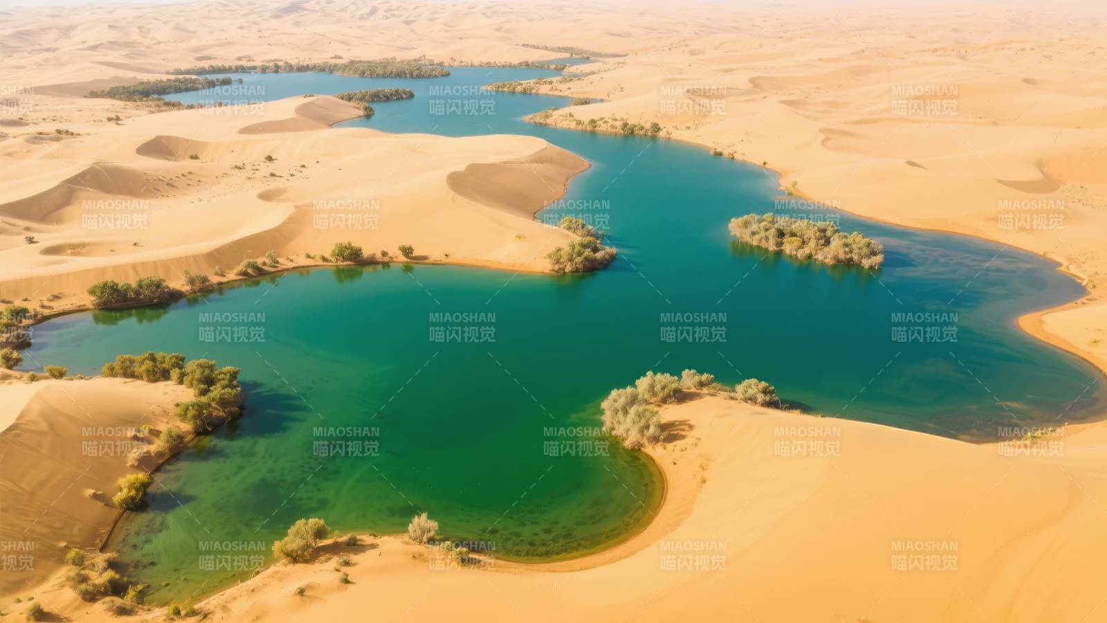 沙漠绿洲奇景图片