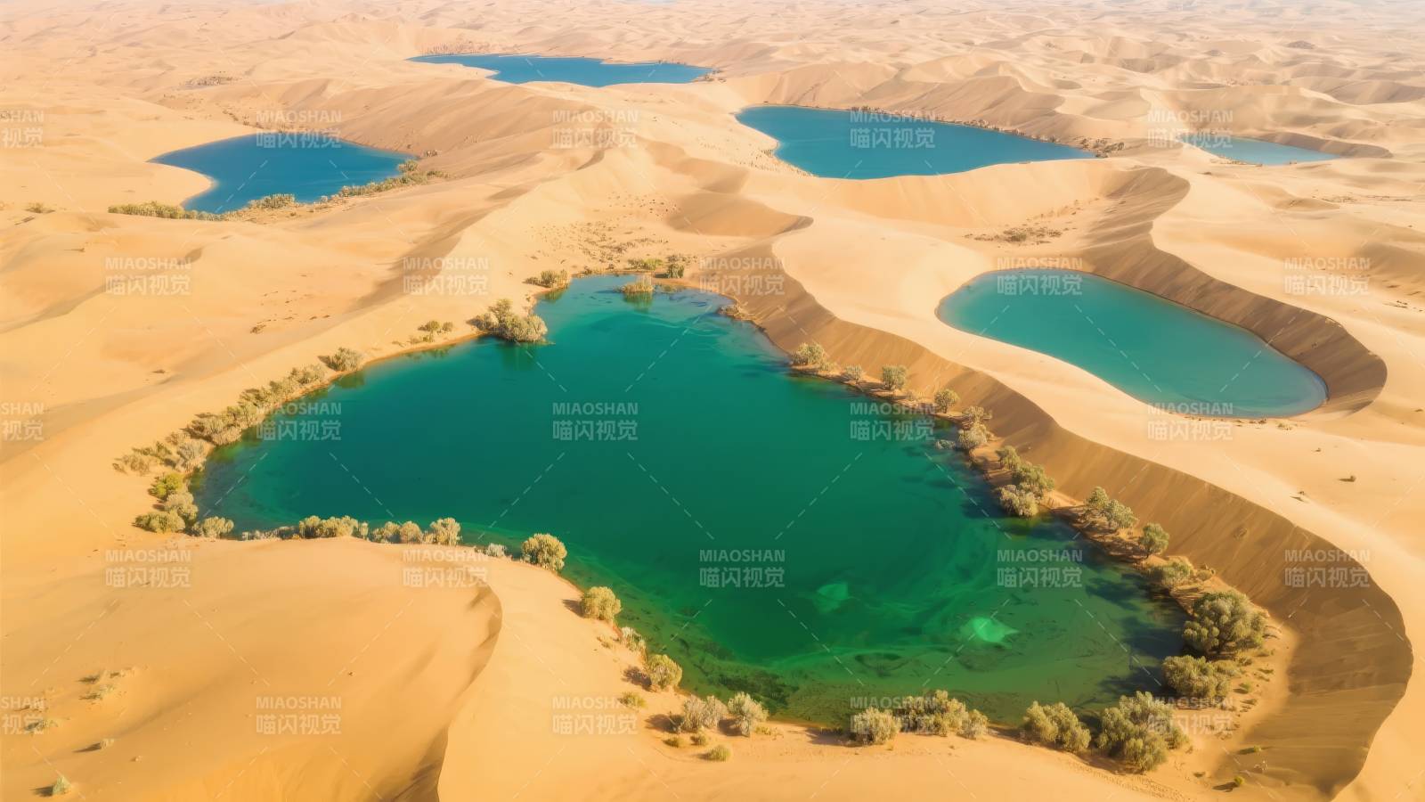 沙漠绿洲奇景图片