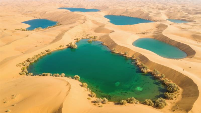 沙漠绿洲奇景图片