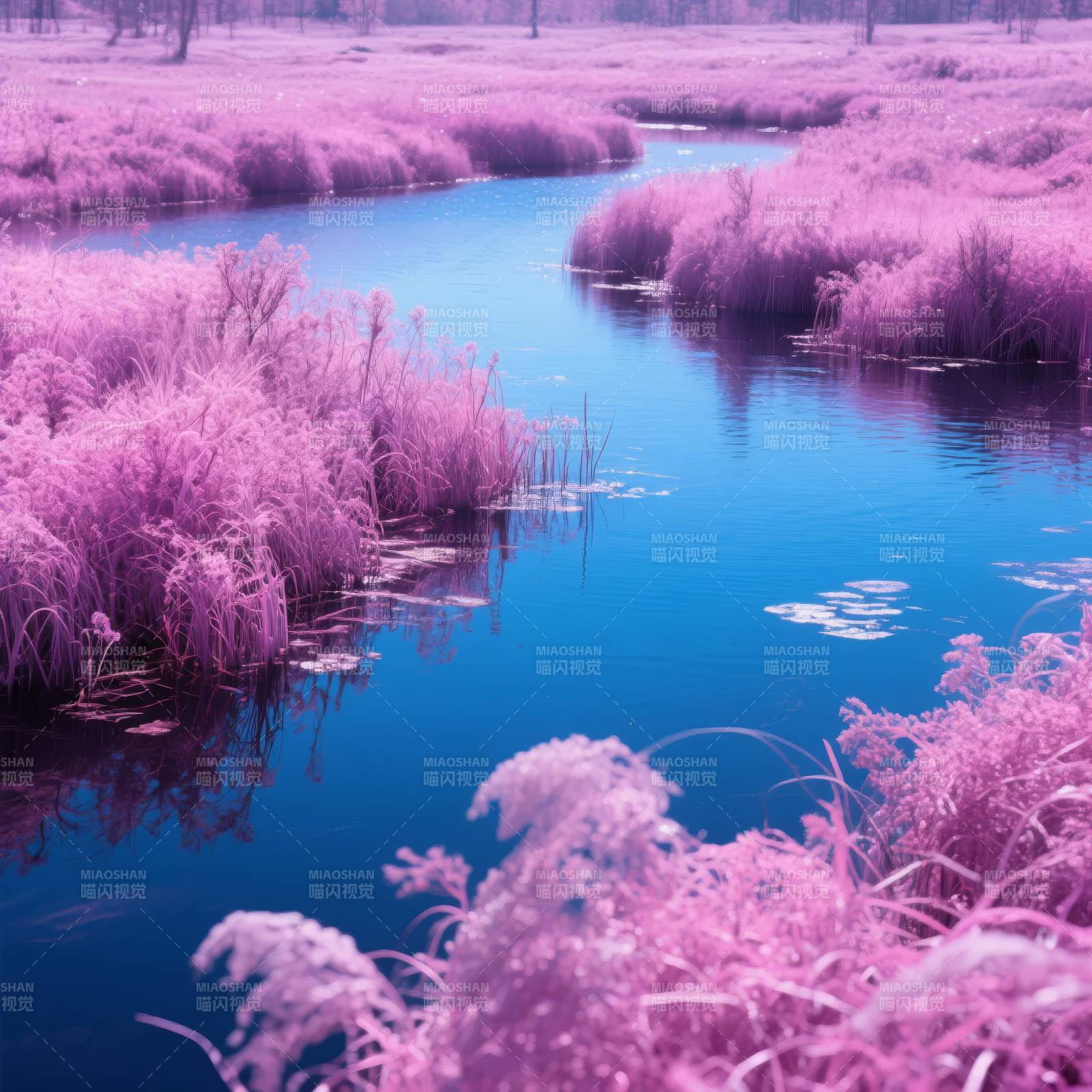 紫境水岸图片