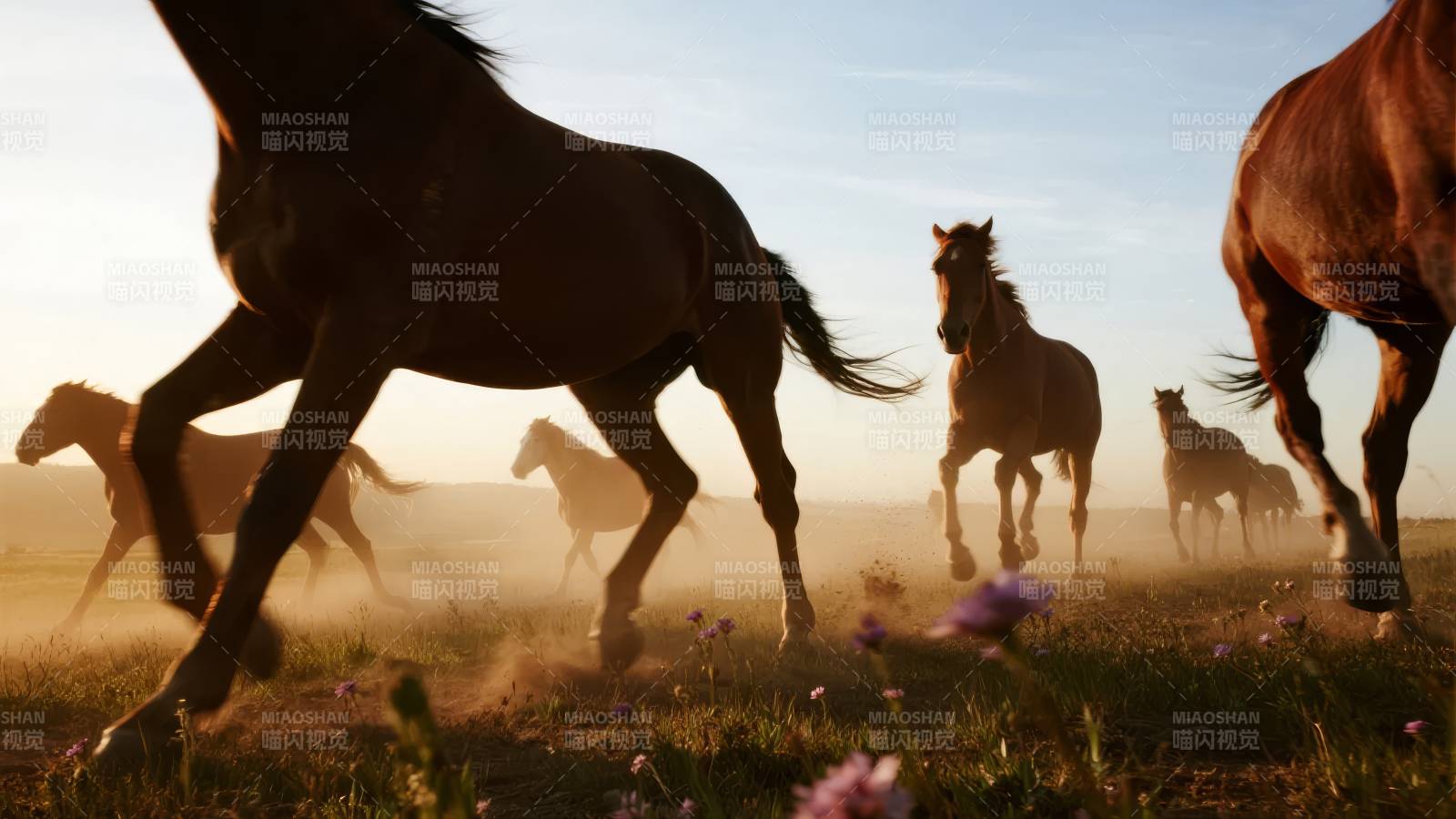 骏马奔腾草原图片