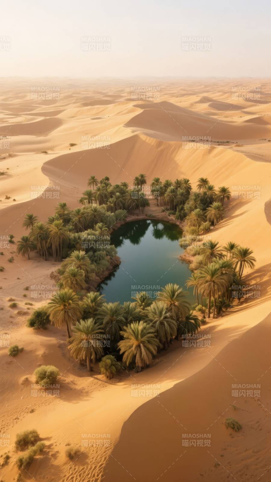 沙漠绿洲奇景图片