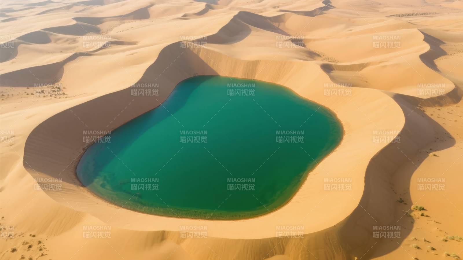 沙漠绿洲奇景图片