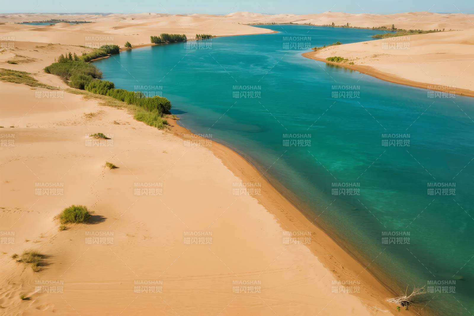 沙漠绿洲奇景图片