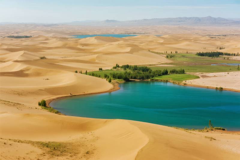 沙漠绿洲美景图片