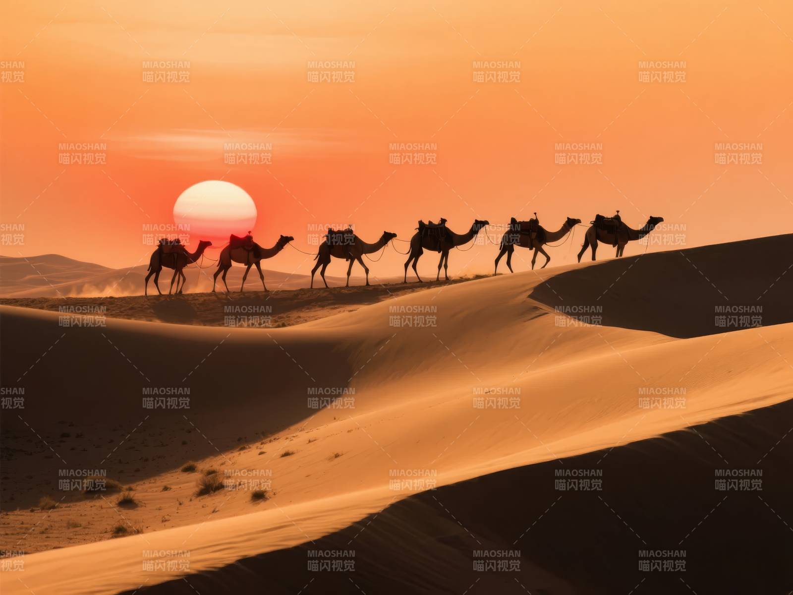 沙漠驼影日落图片
