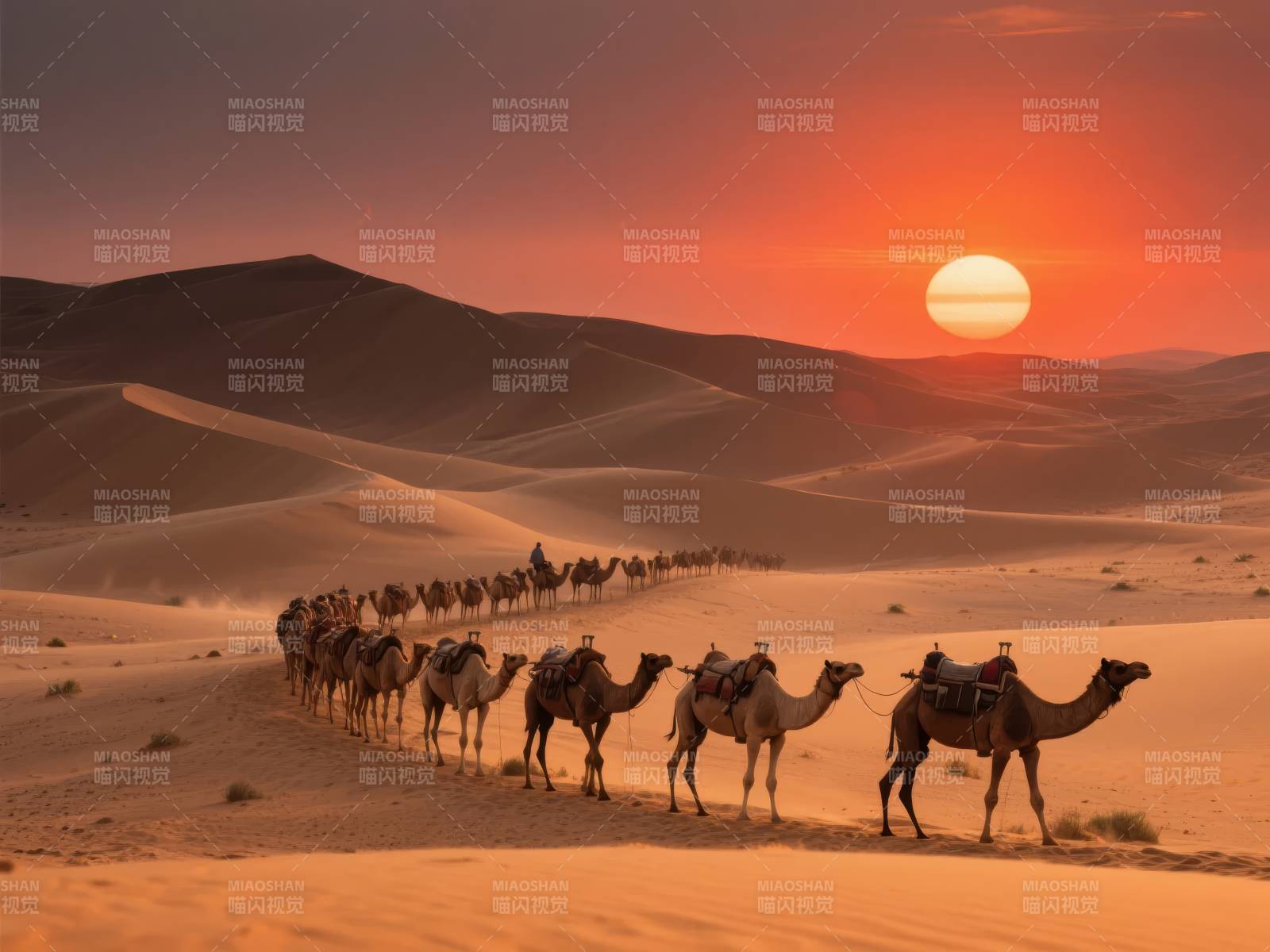 沙漠驼队日落行图片