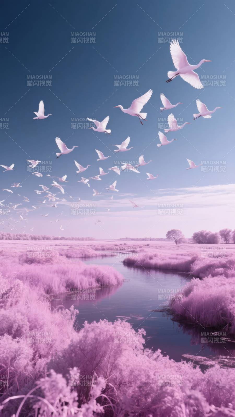 粉红湿地飞鸟图图片