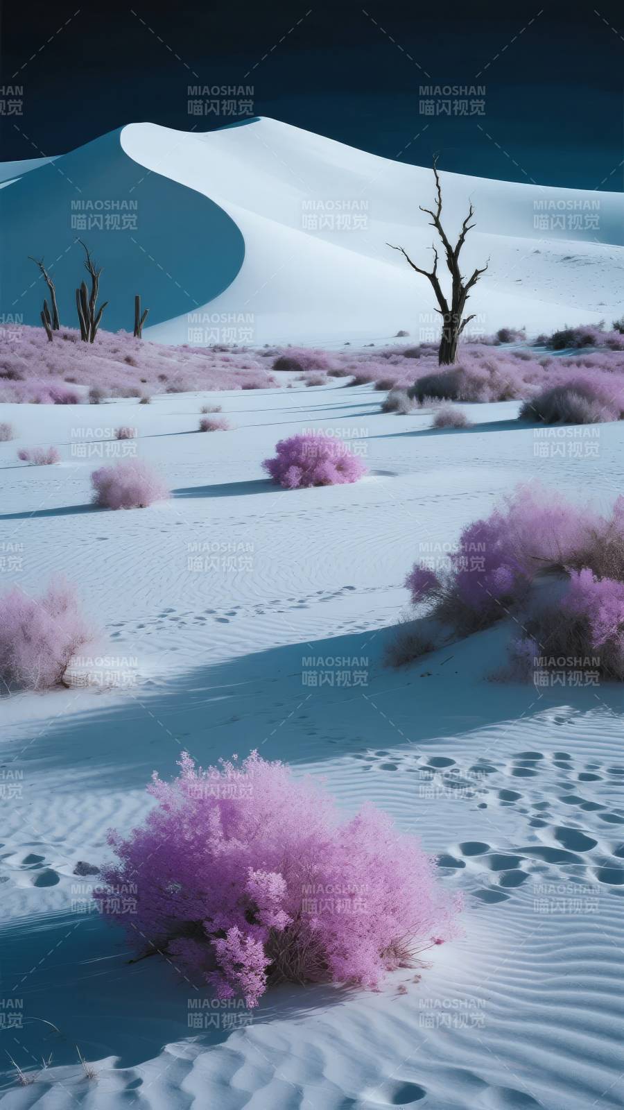 紫沙幻境图片