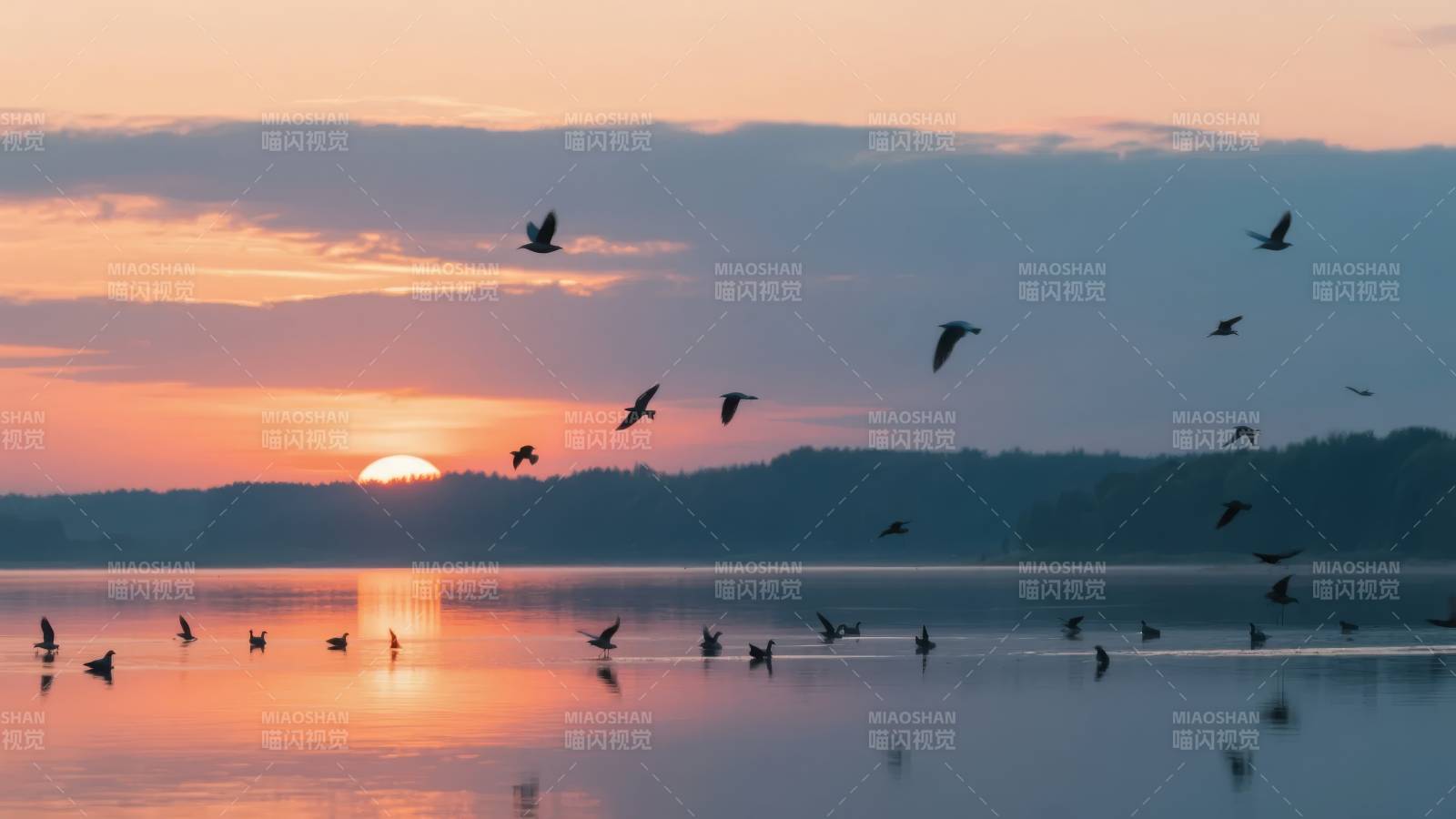 湖上日落飞鸟图片