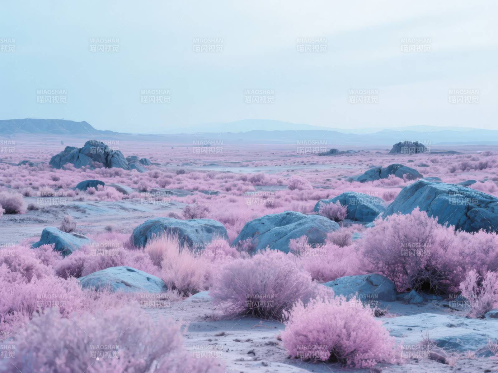 粉红荒漠奇景图片