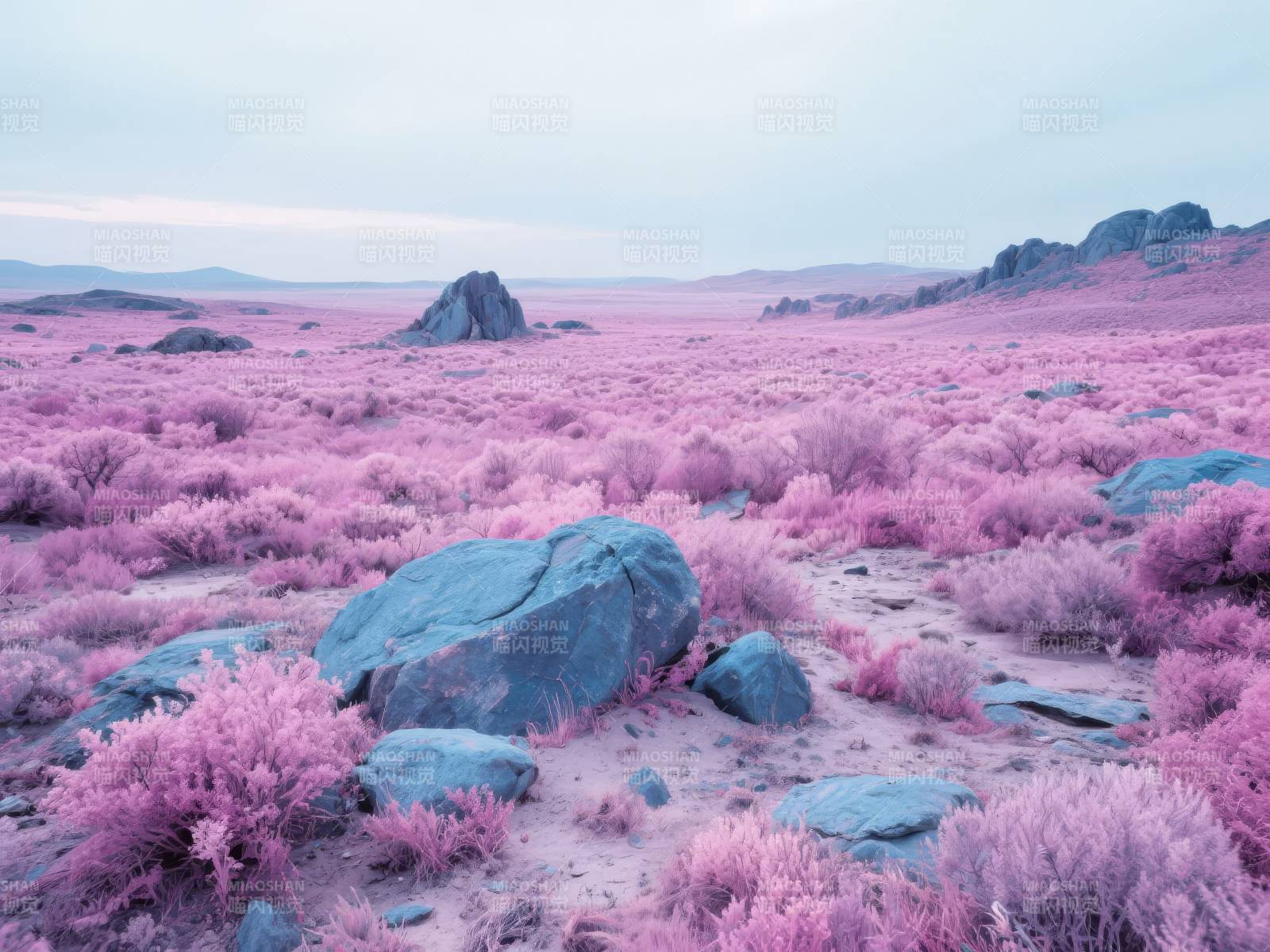 粉红荒漠奇景图片