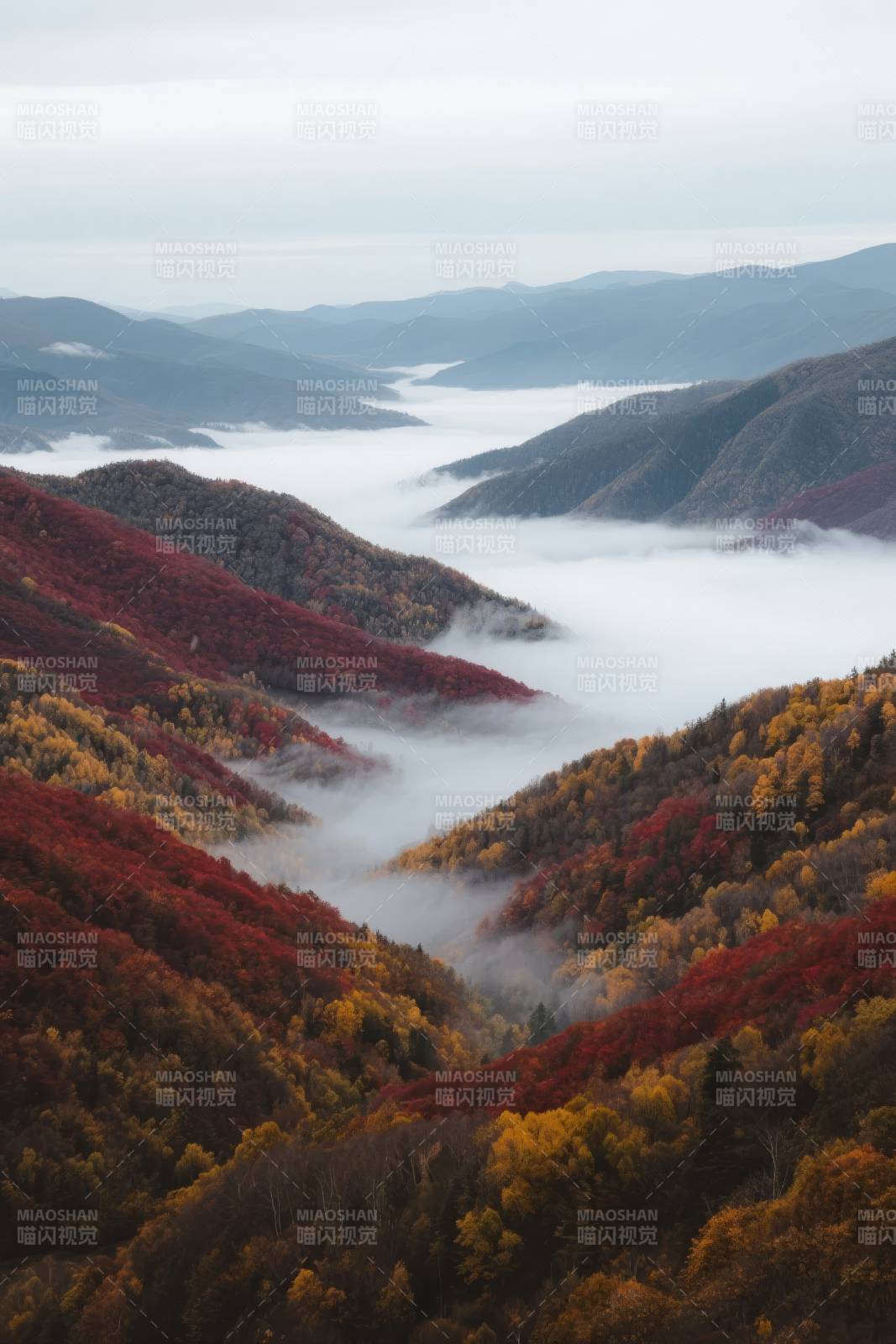 秋山云海图片