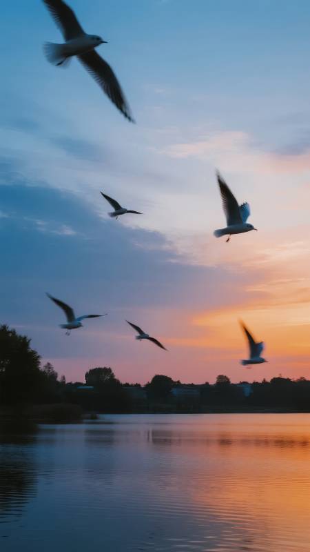 湖畔飞鸟暮色中图片