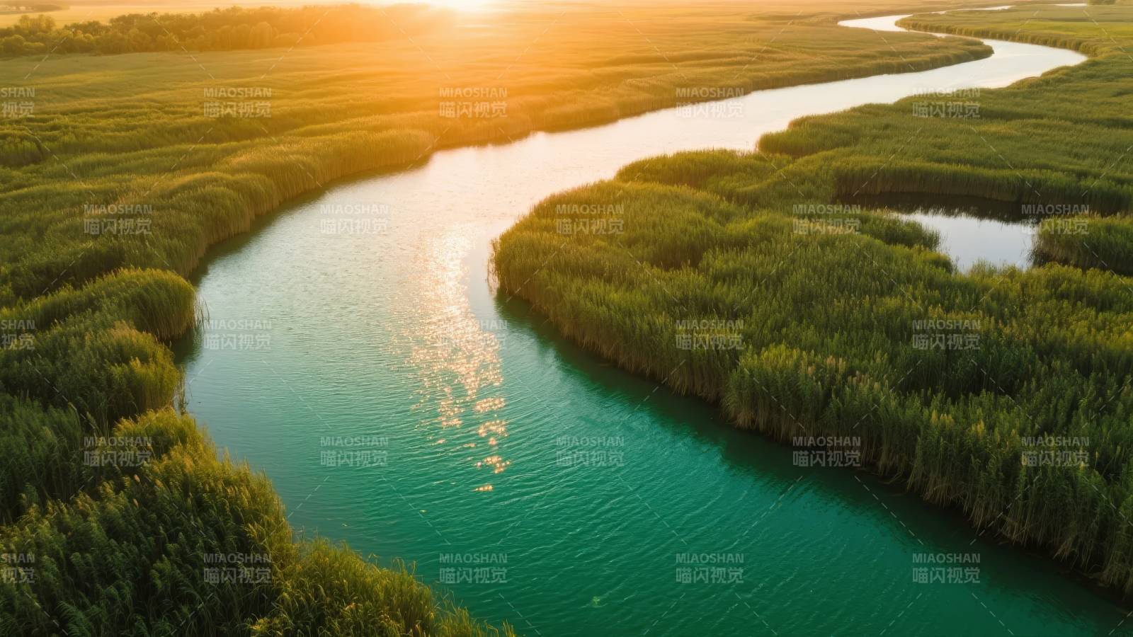 夕阳下的湿地河流图片