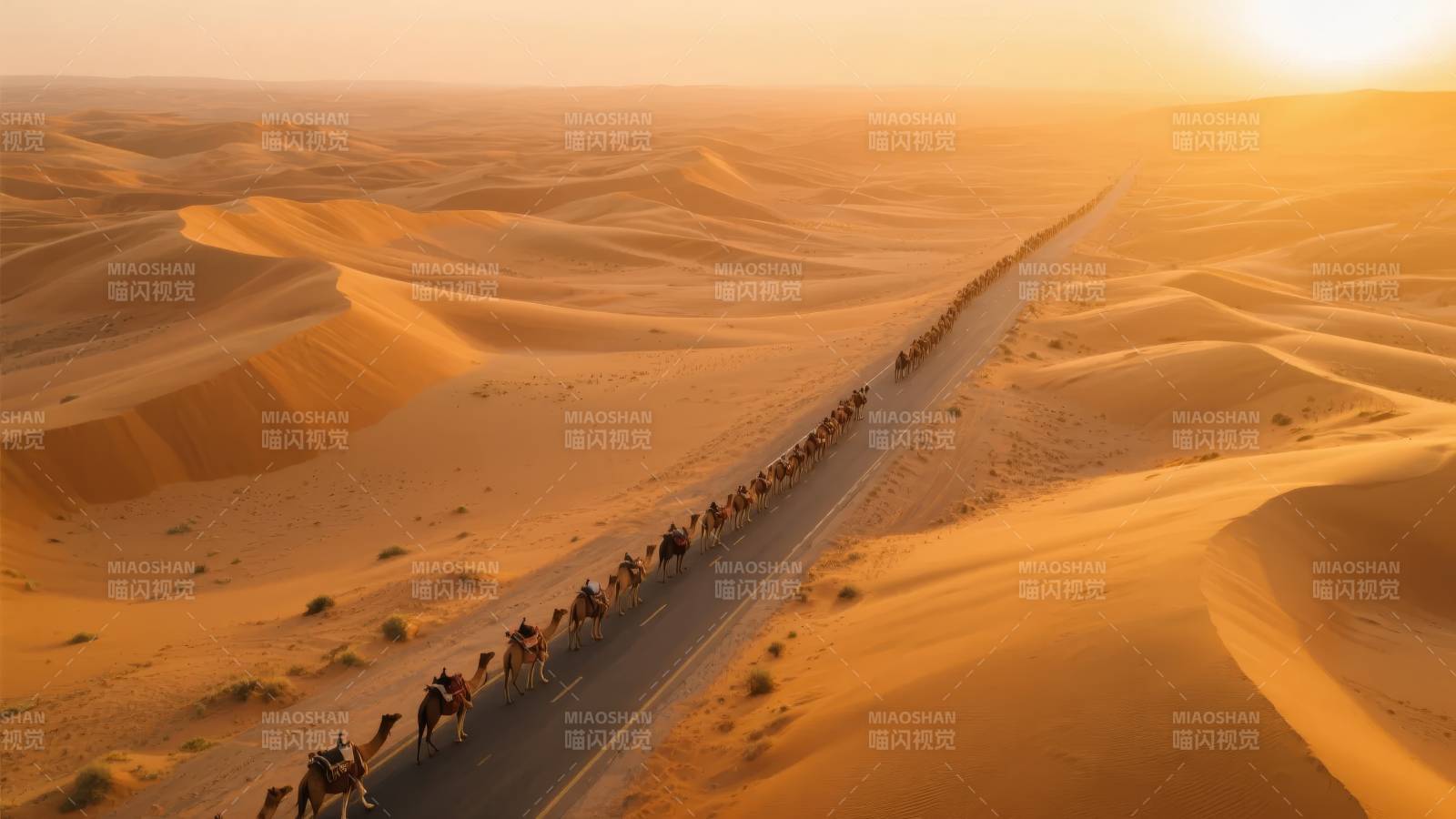 沙漠驼队行进图图片